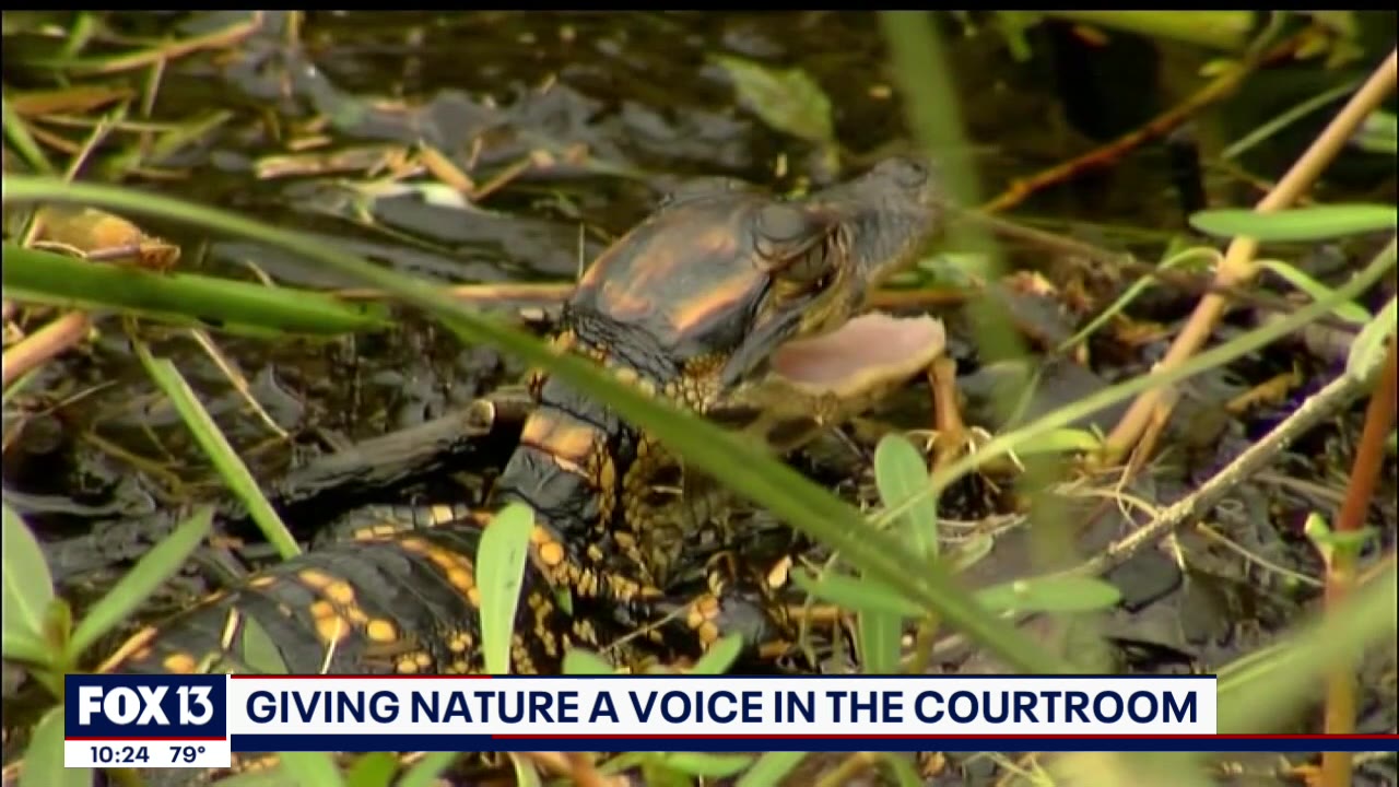 Rights of nature law to be tested in Florida court